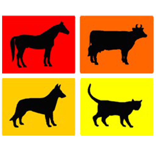Logo Tierklinik24
