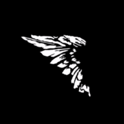 Logo Schwarzer Engel