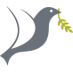 Logo Timon Wälchli