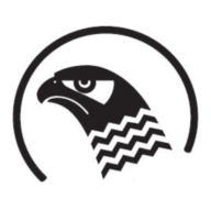 Logo Falken