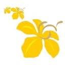 Logo Dokkoon