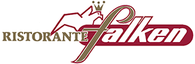 Logo Falken