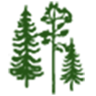 Logo Création Mathias