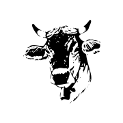 Logo Alp Findels