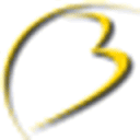 Logo Hotel Bernerhof Grindelwald***