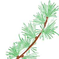 Logo Le Mélèze