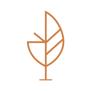 Logo Soho