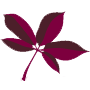Logo Büner