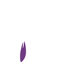 Logo Palaroller