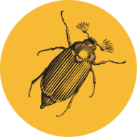 Logo Schule und Kita am Käferberg