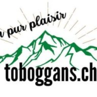 Logo Tobbogan Géant