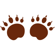 Logo Bären