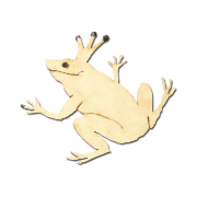 Logo Château Grenouille