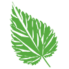 Logo Ortica Sàrl