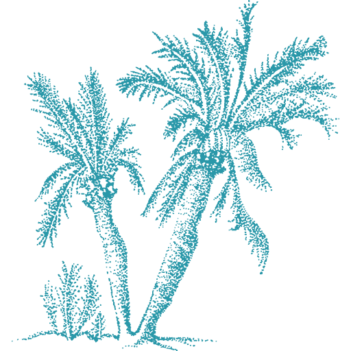 Logo Tritt Käse