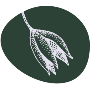 Logo Geburtshaus St.Gallen