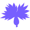 Logo Maison Saison