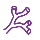 Logo Gefässmedizin Rapperswil