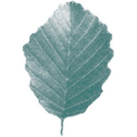Logo Erlenhof