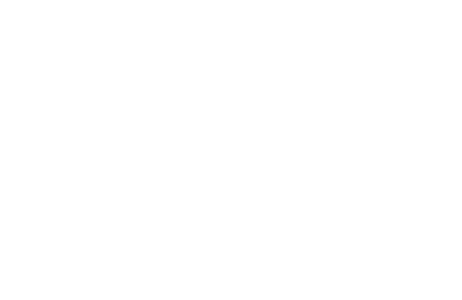 Logo Tipsy Tiger