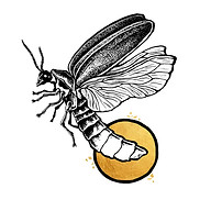 Logo Luciole