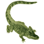 Logo Ristorante Coccodrillo