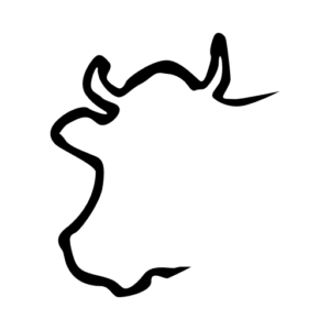 Logo Tierarztpraxis zur Buchwigger