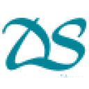 Logo DS Guitar