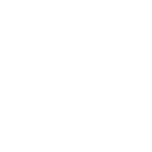Logo Raccoon