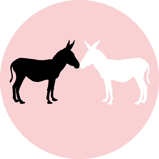 Logo Asino