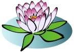 Logo NongNang Thai Take Away