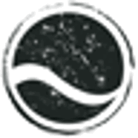 Logo the flow