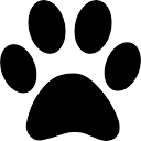 Logo Pratique vétérinaire BirmiVet