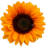 Logo Agriturismo La Finca