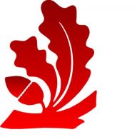 Logo Graf Schreinerei Innenausbau AG