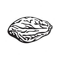 Logo Locatelli