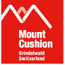 Logo Mount Cushion