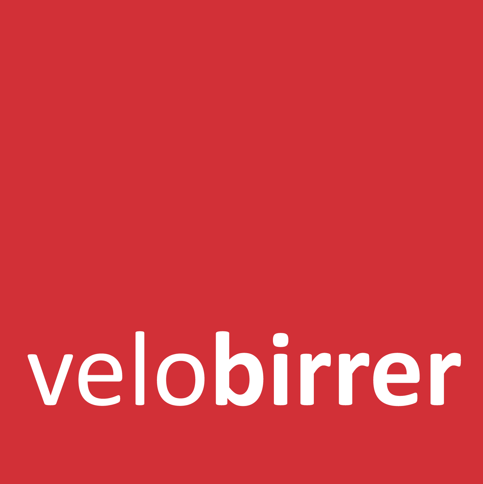 Logo Velo Birrer