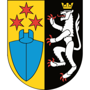 Logo Hollenstein