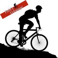 Logo Fabis Veloegge