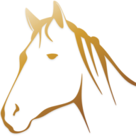 Logo Erlebnis Reitstall Burgheer