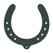 Logo Riitplatz