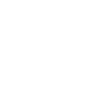 Logo ds Architektur
