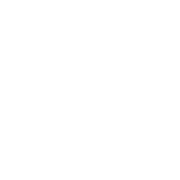 Logo Meiersalp