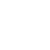 Logo Urban Flamingo