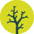 Logo Woods