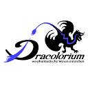 Logo Dracolorium - Atelier Oechsli